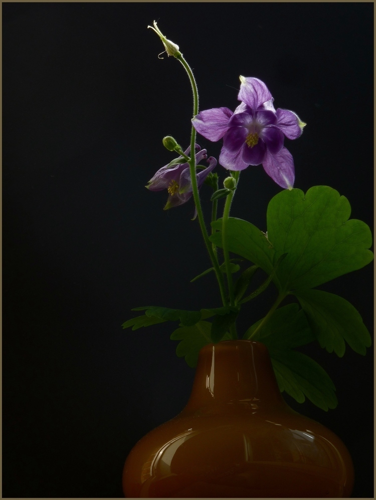 zartes Blümchen in einer Vase