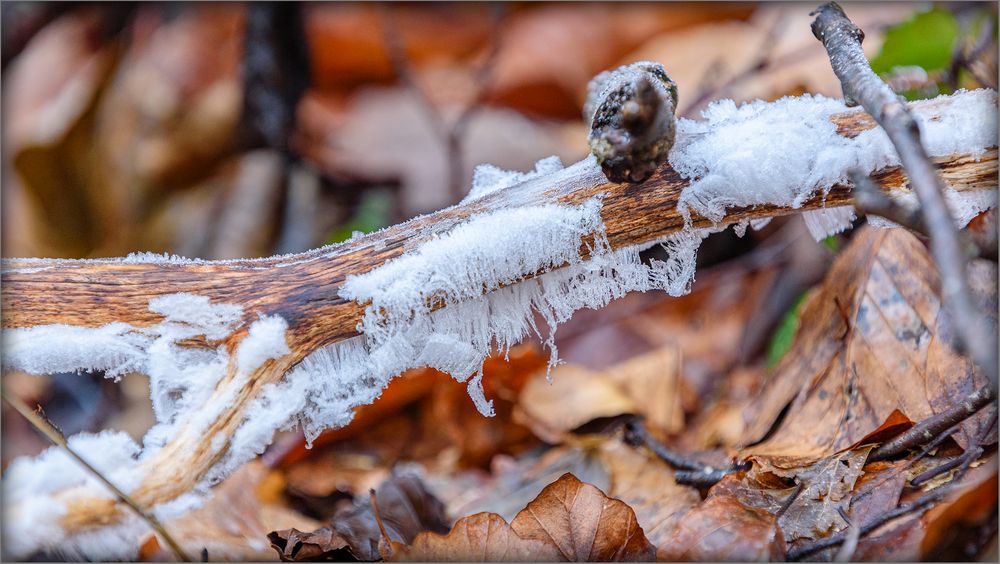 Zartes Eis am Holz