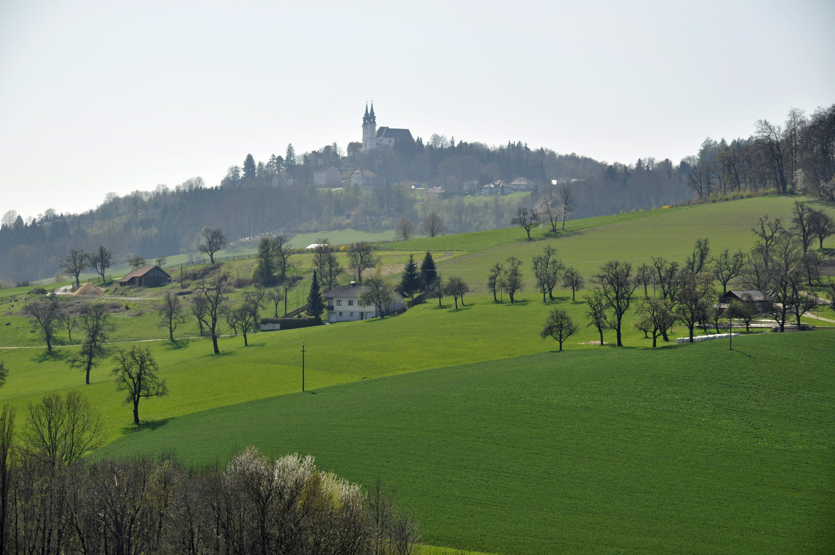 Zartes Frühlingserwachen--Pöstlingberg/ Linz