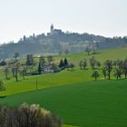 Zartes Frühlingserwachen--Pöstlingberg/ Linz