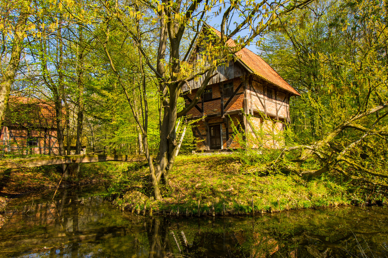 zartes Frühlingsgrün