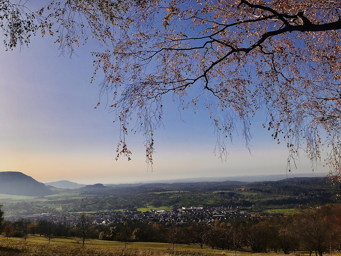 Zartes Geäst über dem Land