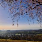 Zartes Geäst über dem Land