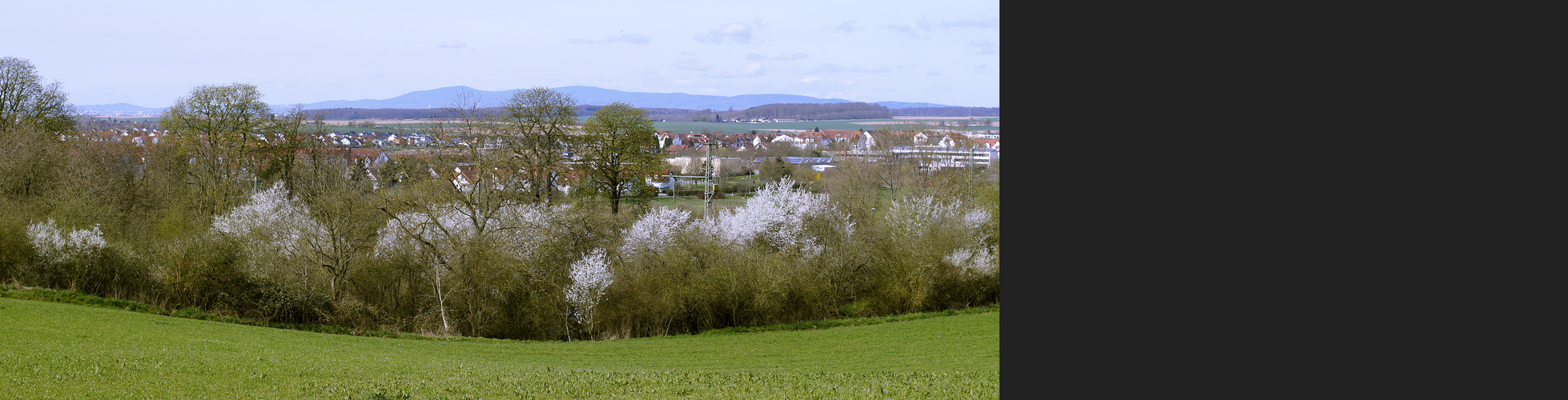 Zartes Grün, sparsames Weiß