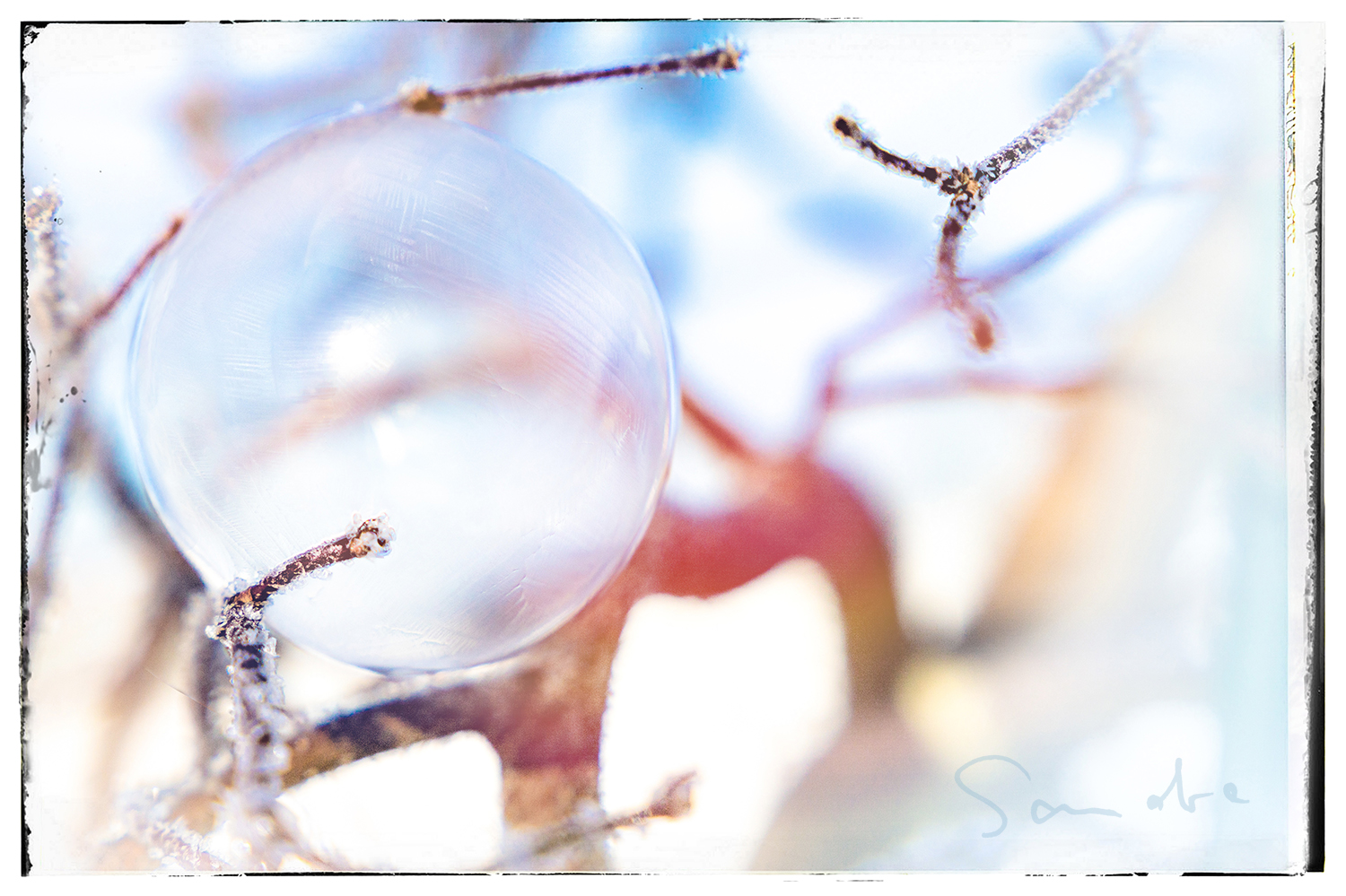 Zartes in frostigen Klauen....