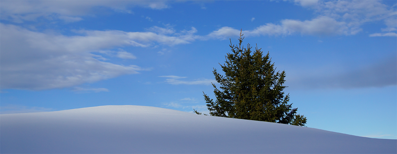 Zartes Winterblau