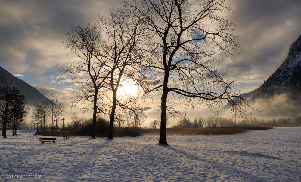 zartes Winterlicht