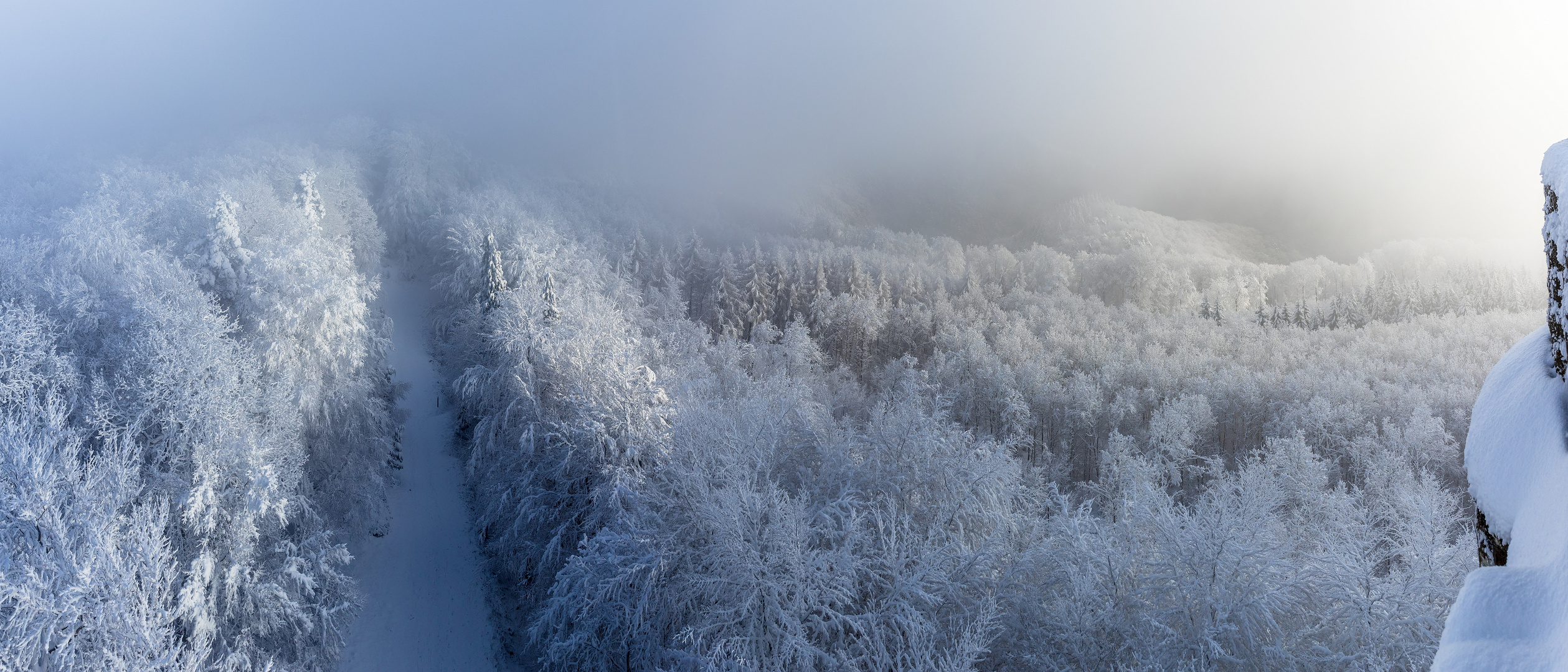 Zartes Winterlicht