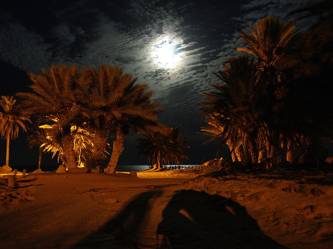 Zarzis Foto & Bild africa, north africa, tunisia Bilder auf