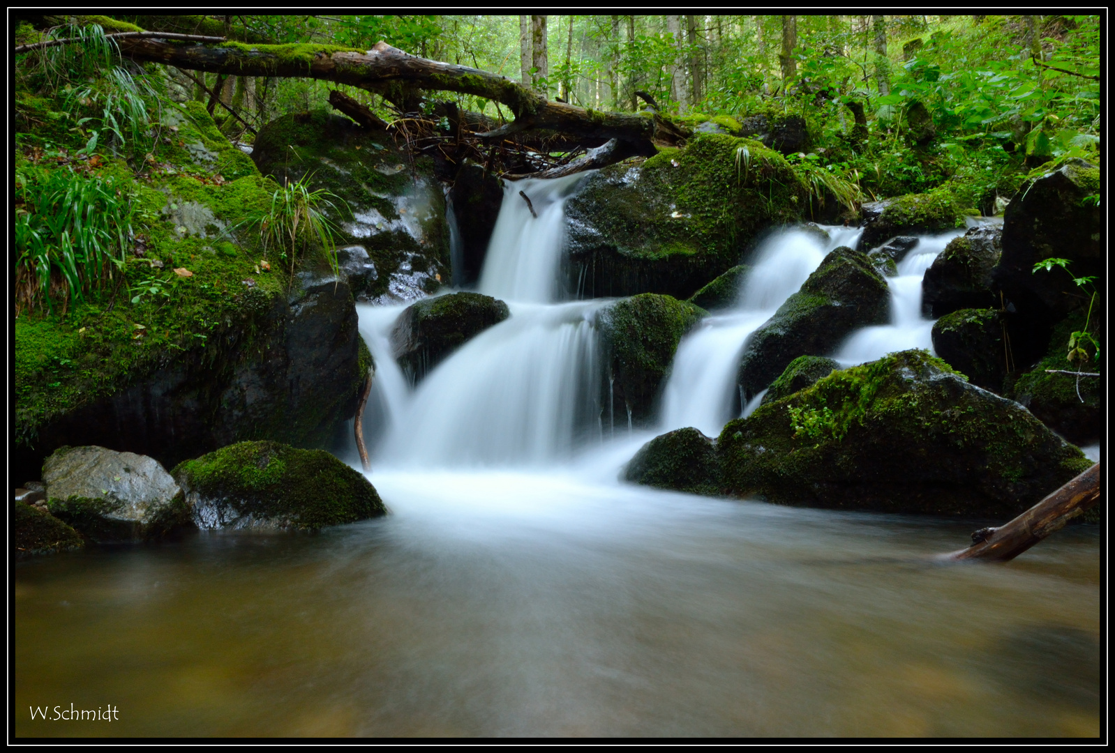 Zastlerbach im Schwarzwald