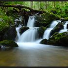 Zastlerbach im Schwarzwald