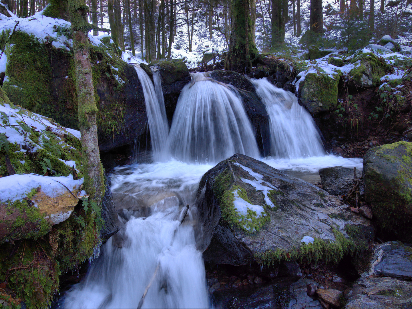 Zastlerbach im Winter