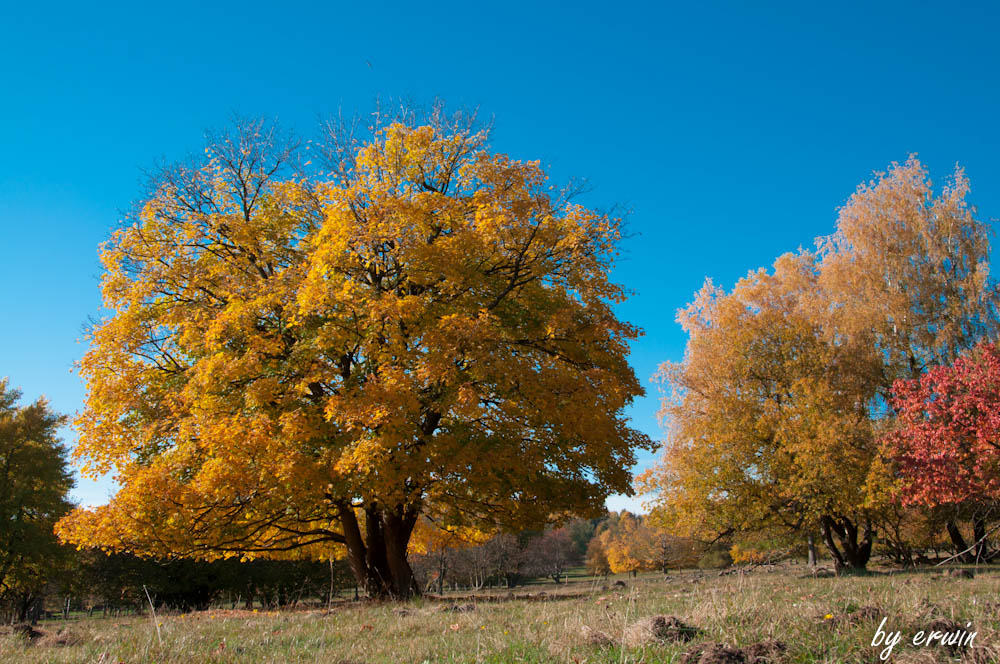 Zauber der Farben