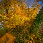 Zauber der Herbstfärbung