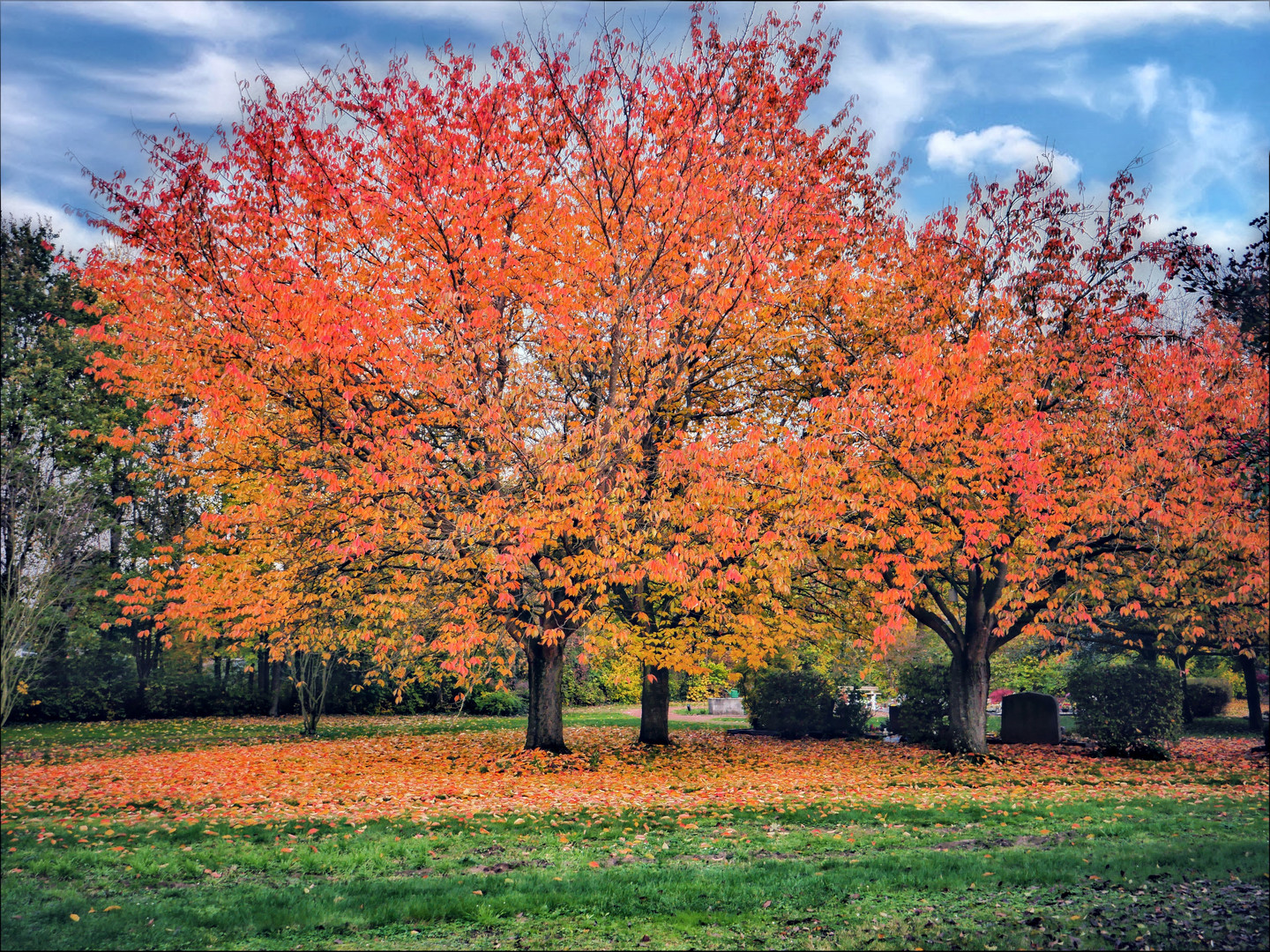 Zauber der Herbstfarben