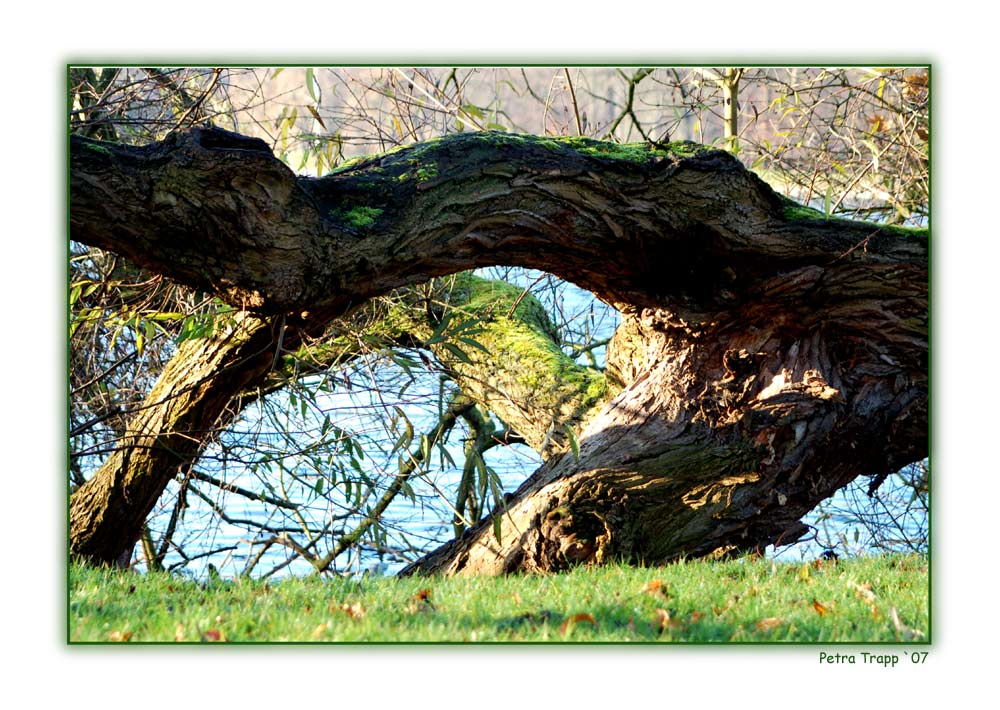 Zauber der Natur