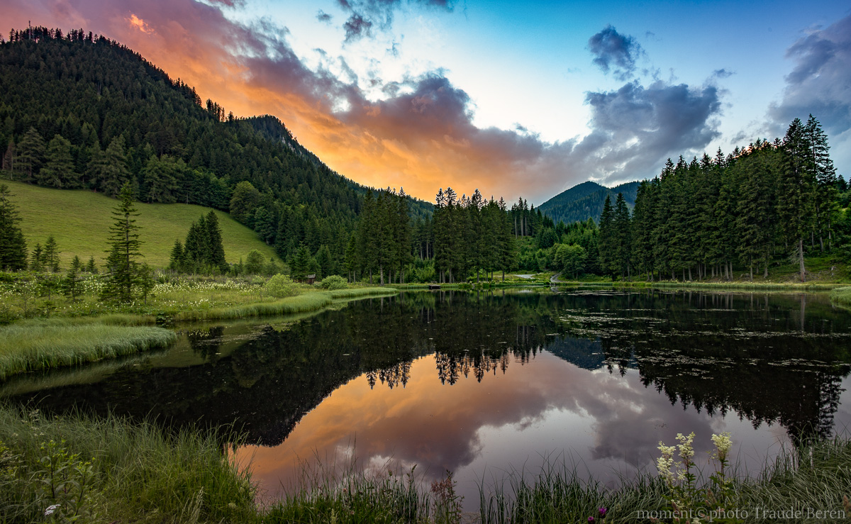 Zauber der Natur