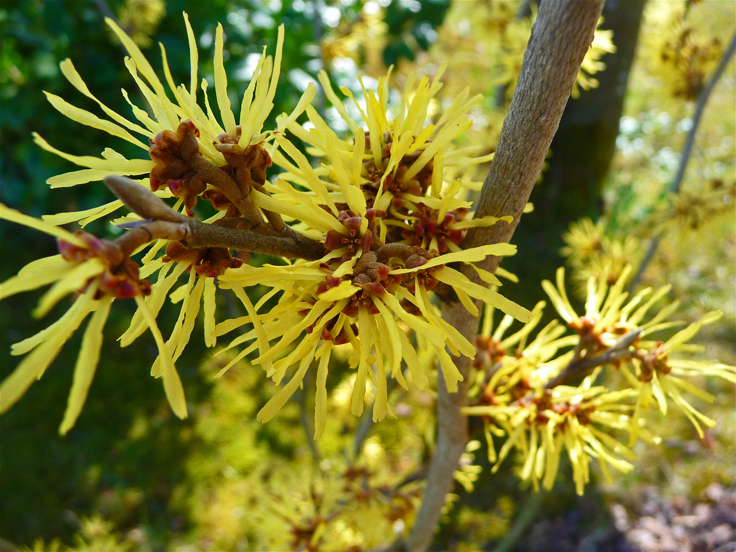 Zauber der Natur