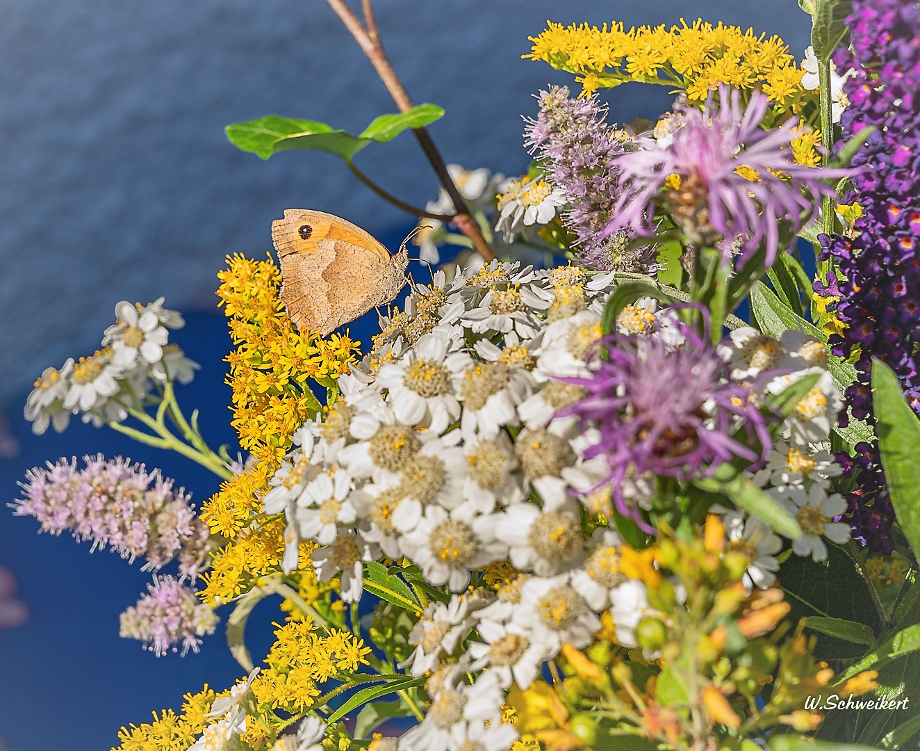 Zauber der Natur