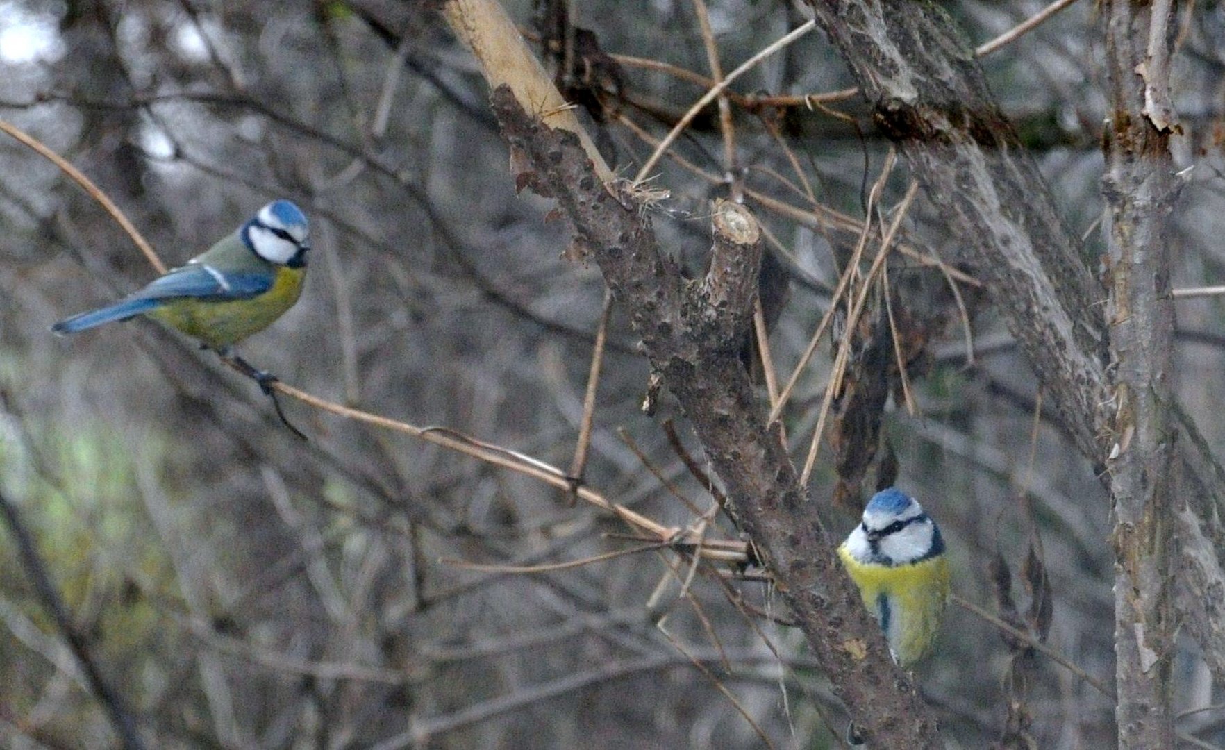 Zauber der Natur