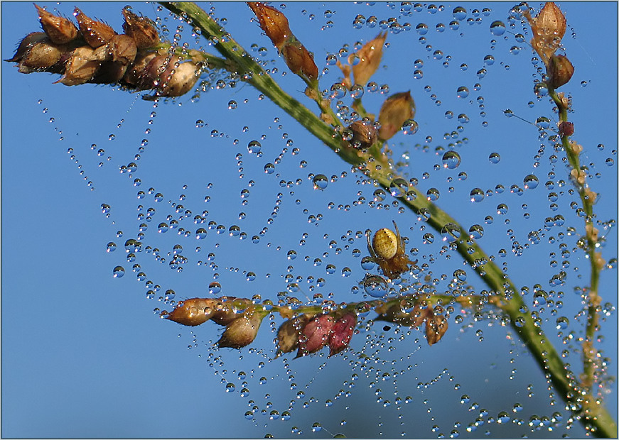 Zauber der Natur