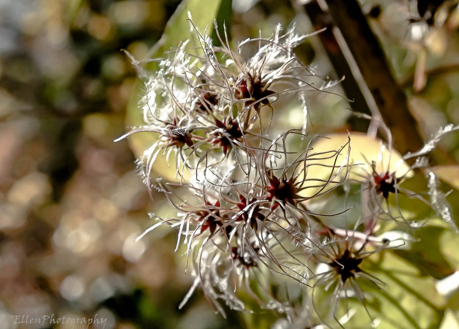 Zauber der Natur