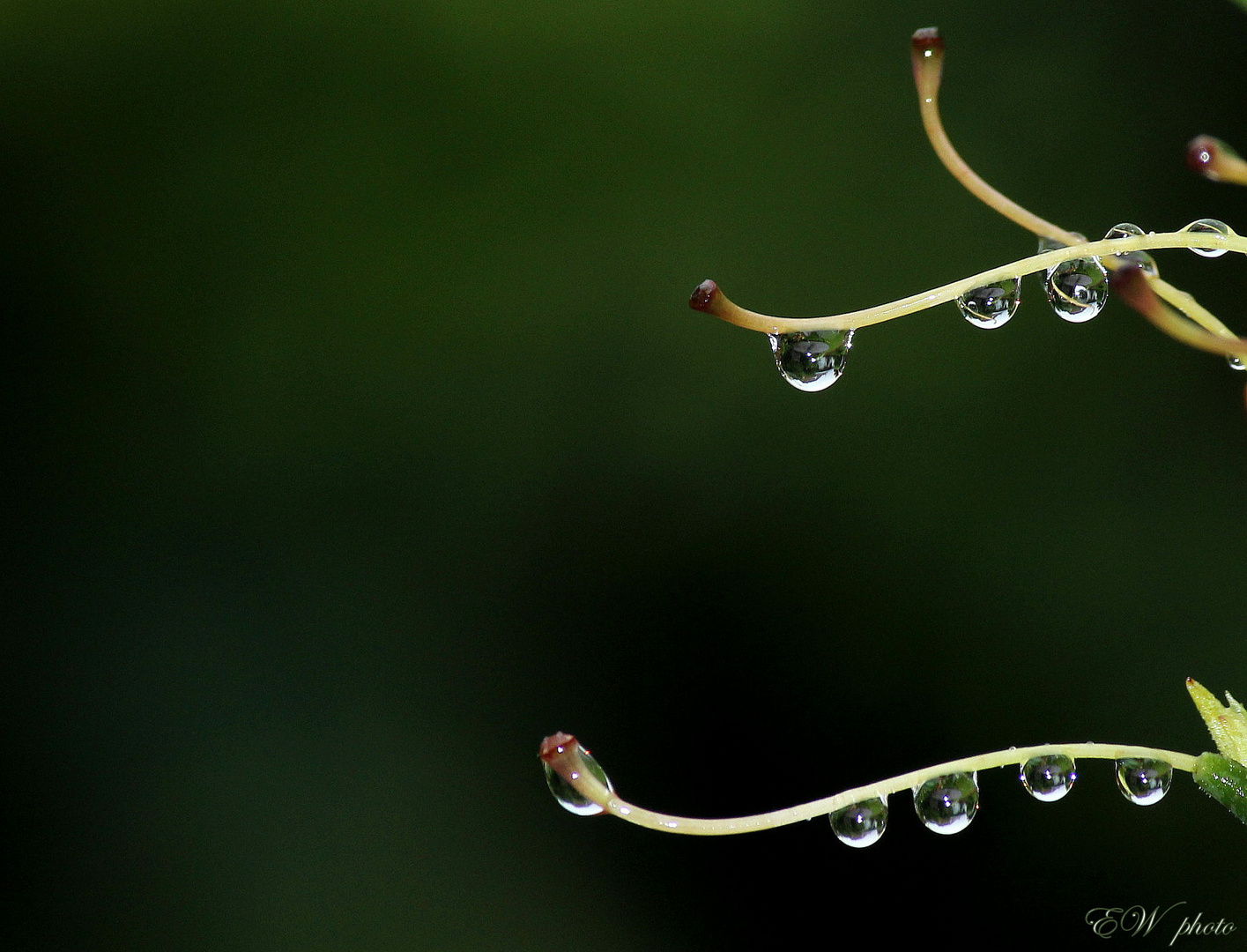 Zauber der Natur...