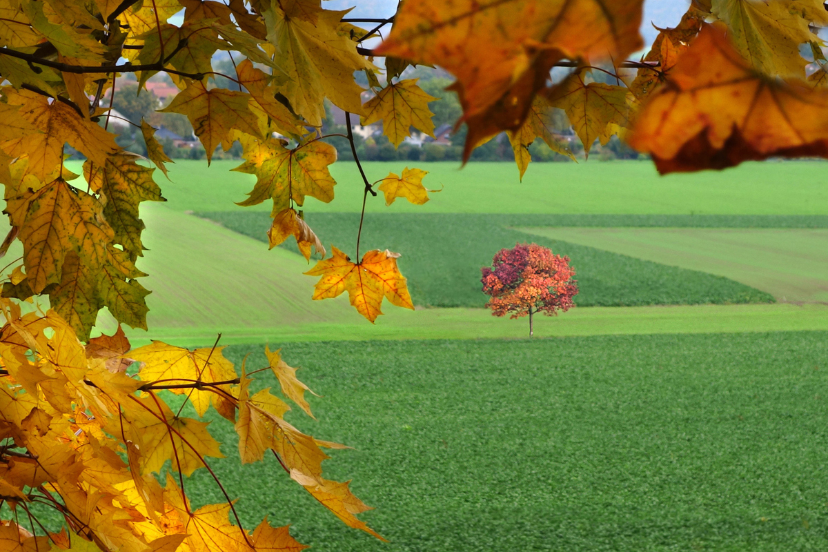 Zauber der Vergänglichkeit