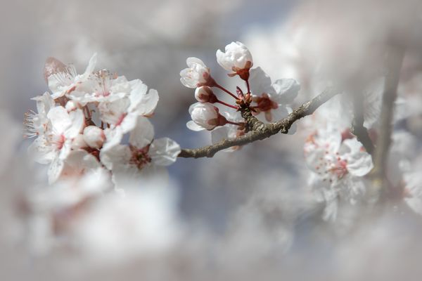 - Zauber des Anfangs -