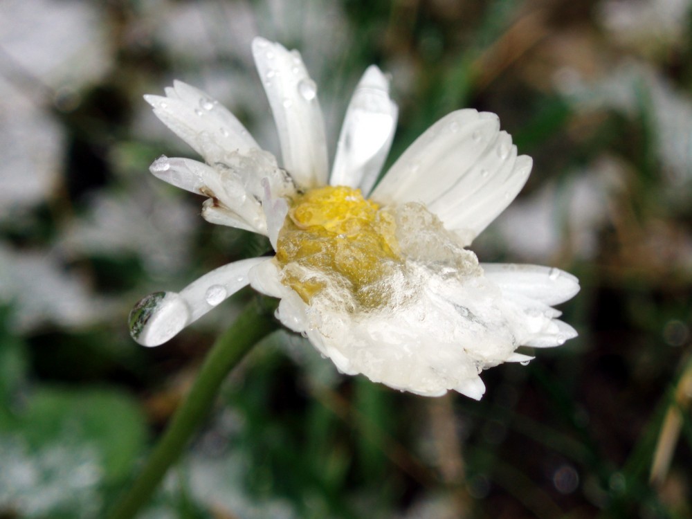 Zauber des Augenblicks