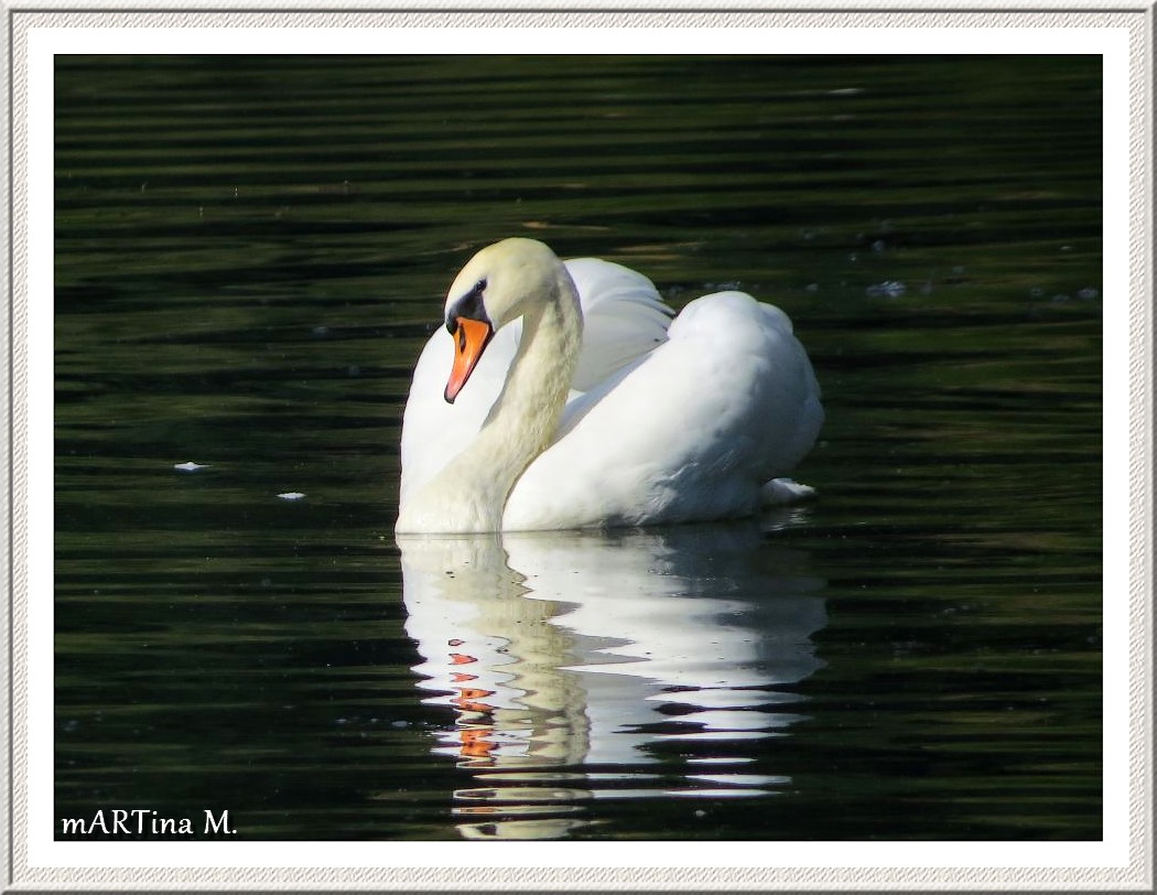 Zauber des Moments  (mit Gedicht)