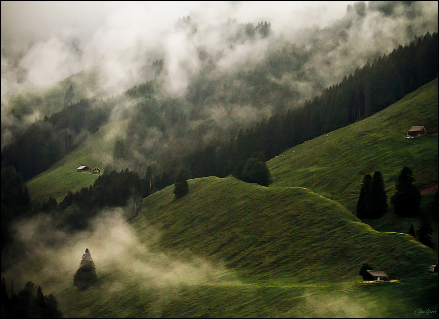 Zauber des Morgennebels