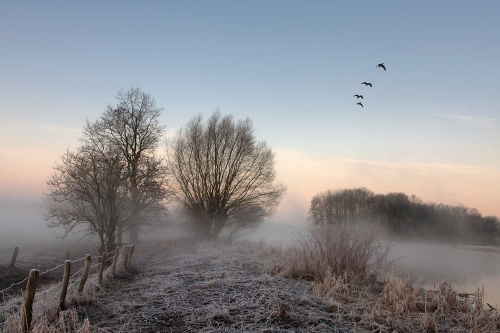 zauber des morgens