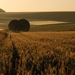 Zauber des Sommers