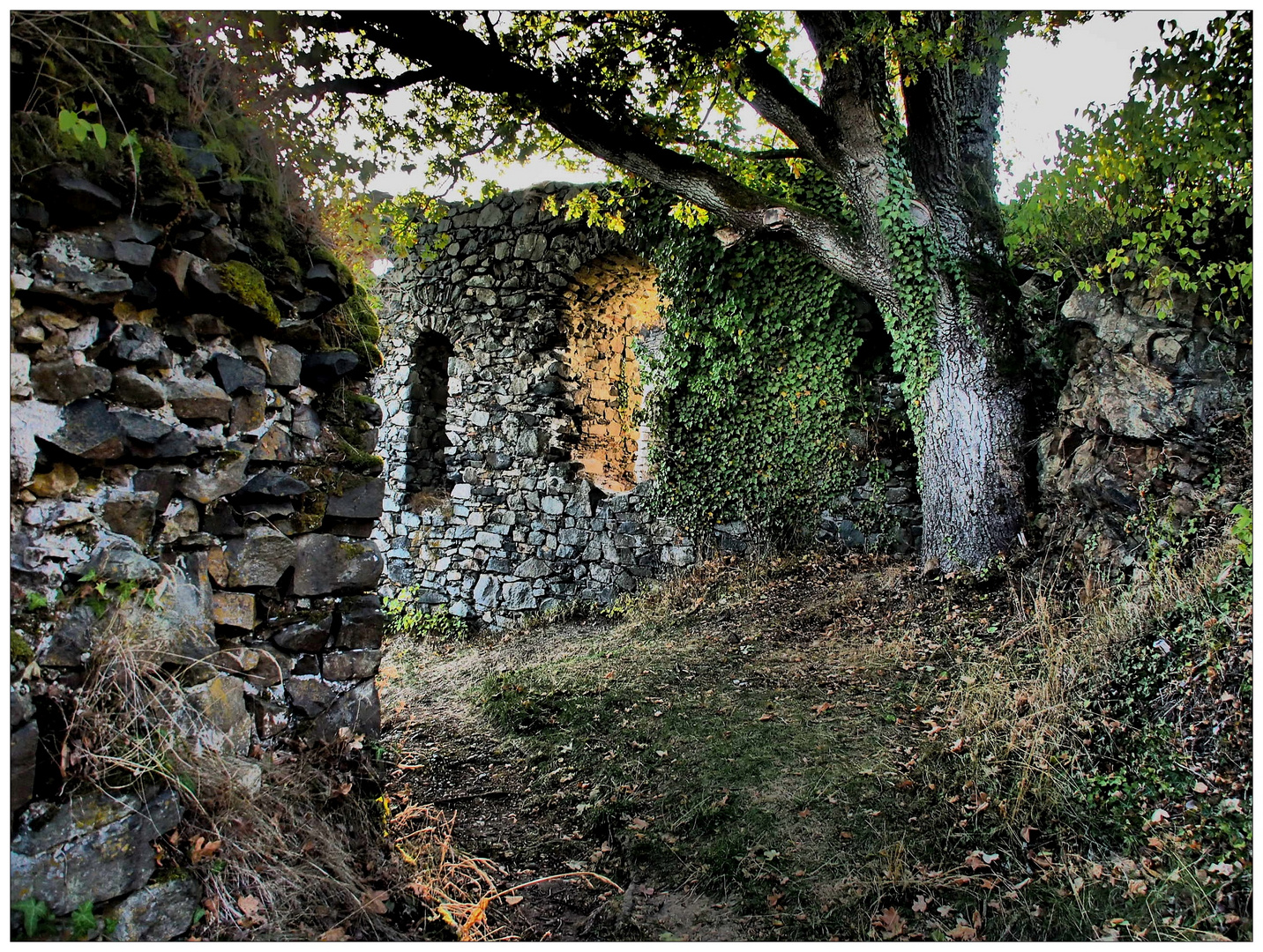 Zauber einer alten Ruine