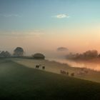 Zauber eines Morgens im Mai