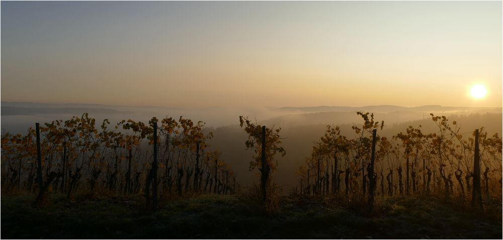 Zauber-Licht