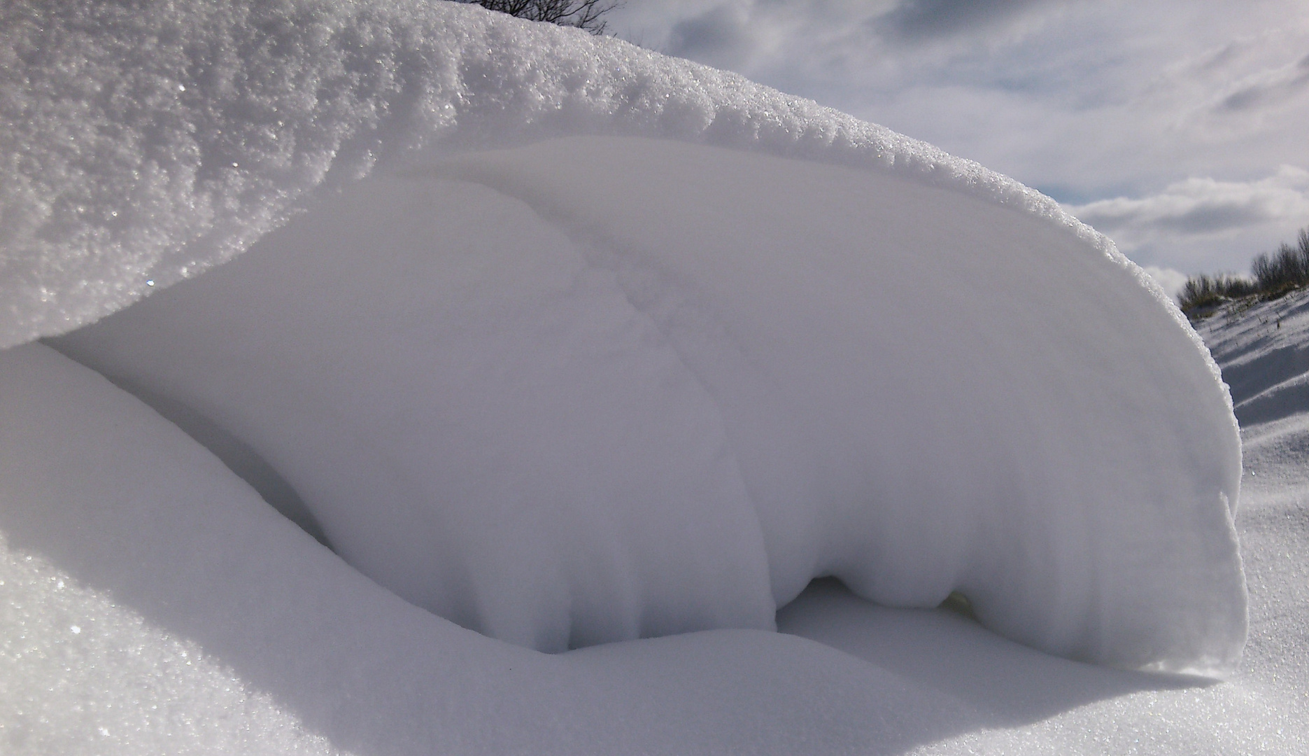 Zauberei im Schnee