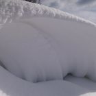 Zauberei im Schnee