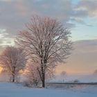 ...Zauberfarben der Natur