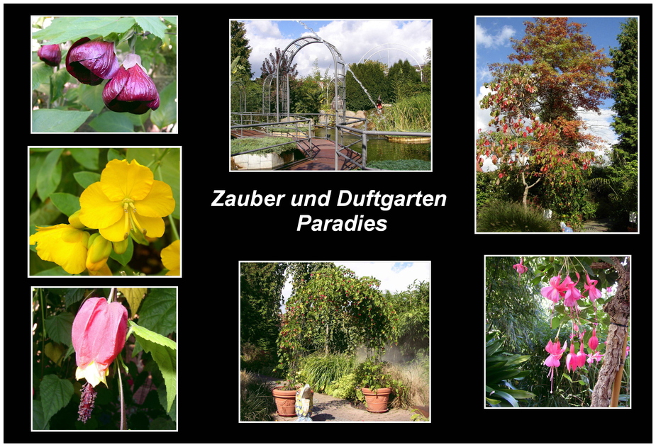 Zaubergarten