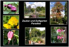 Zaubergarten