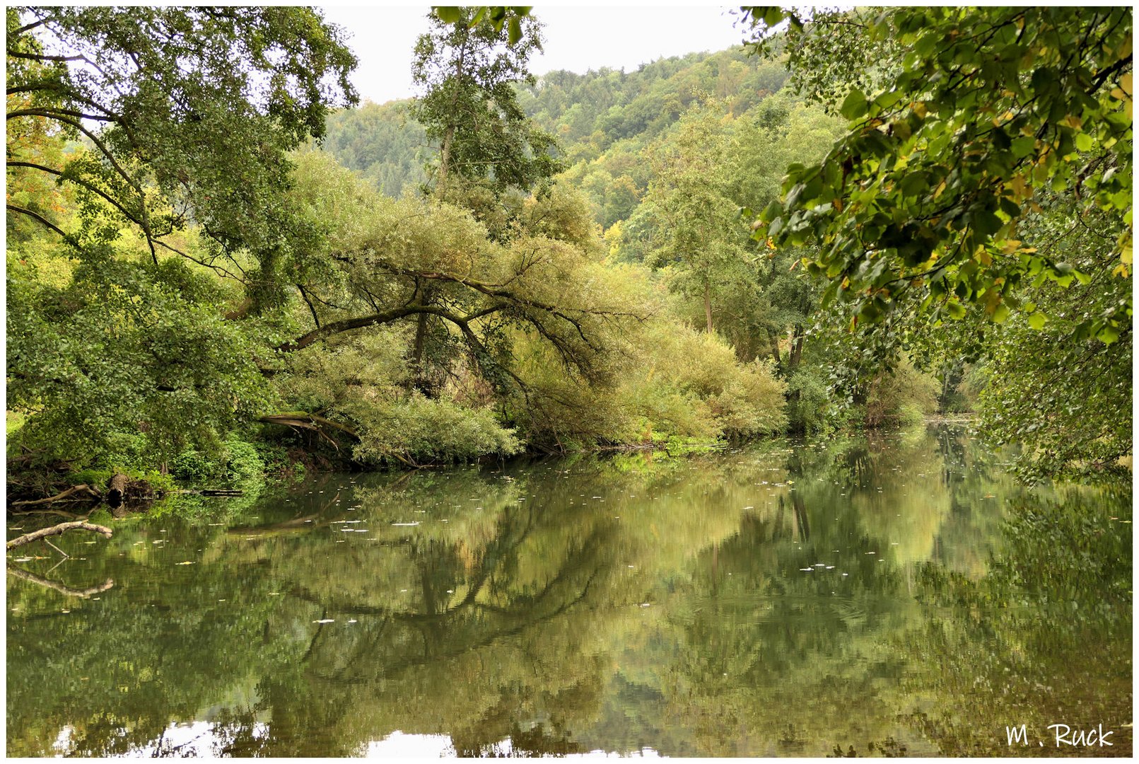 Zauberhaft dieser Anblick ,