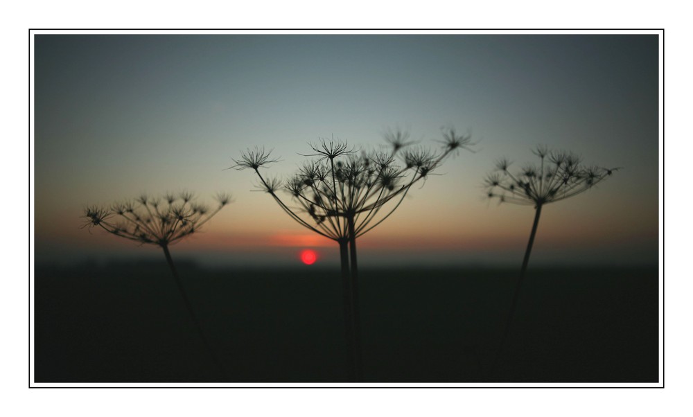 Zauberhafte Abendstimmung