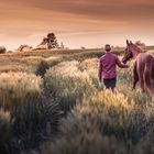 Zauberhafte Abendstimmung