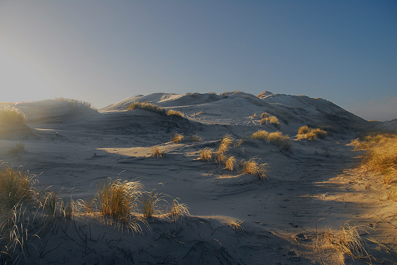 zauberhafte Dünen II