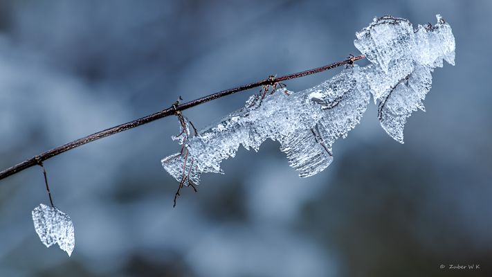 Zauberhafte Eiskristalle