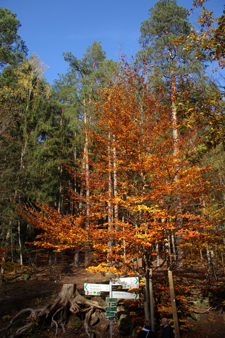 zauberhafte Farben an der Weggablung 