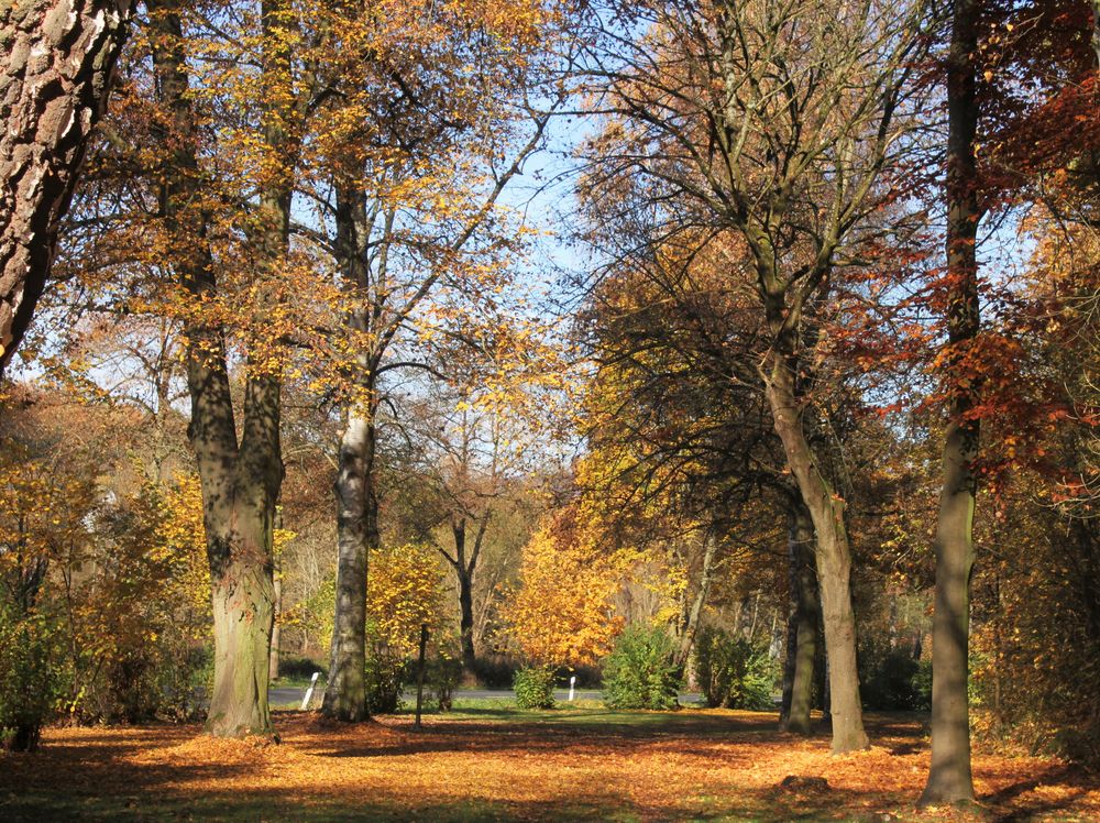 - Zauberhafte Herbstfarben-