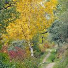 Zauberhafte Herbststimmung! - La poésie de l'automne!